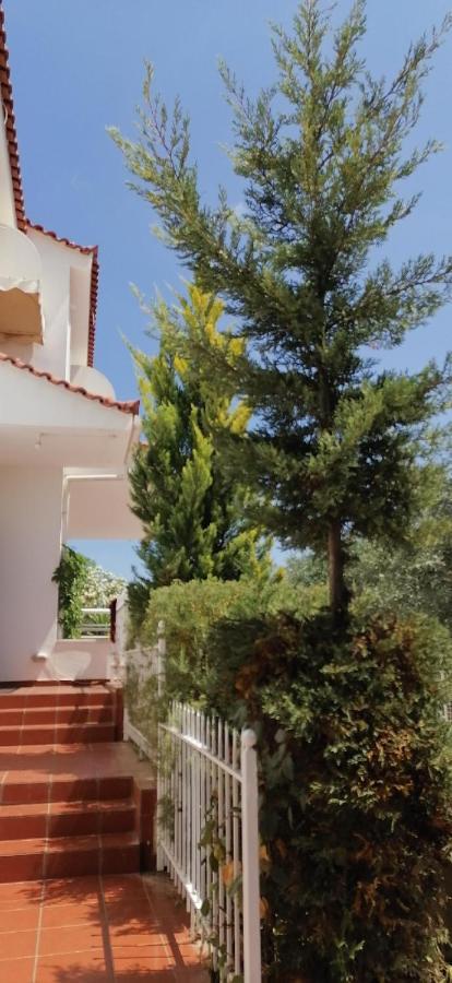 Ευχάριστη Βίλα Στη Χαλκίδα Στην Περιοχή "Αλυκές" Экстерьер фото